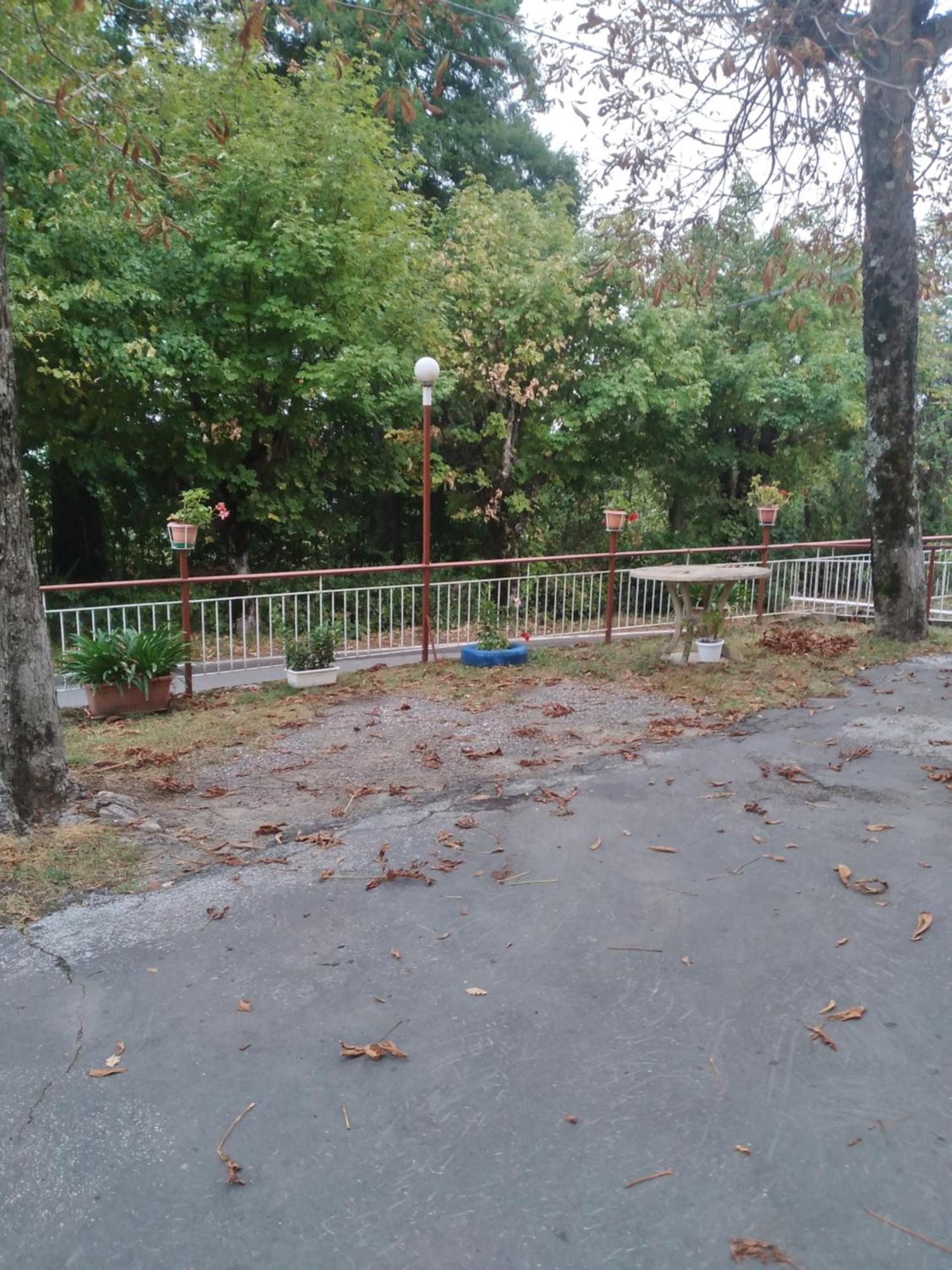 ליצאנו אין בלוודרה Casa Mirtillo מראה חיצוני תמונה